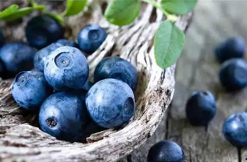 娱乐吃瓜酱母亲吃蓝莓,娱乐吃瓜酱母亲意外吃出时尚新风尚